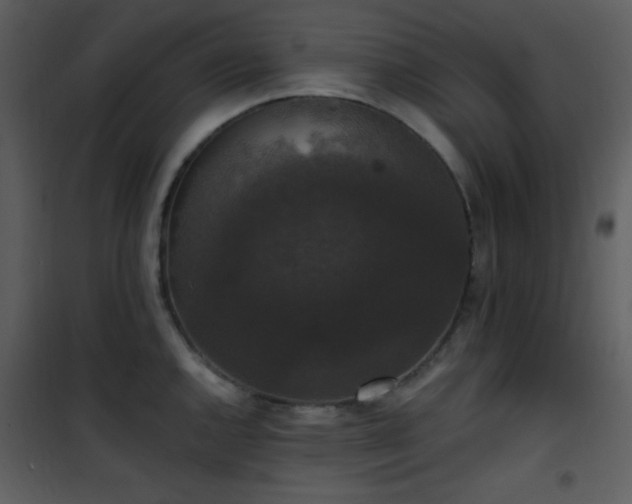 X0000102001144200807181159