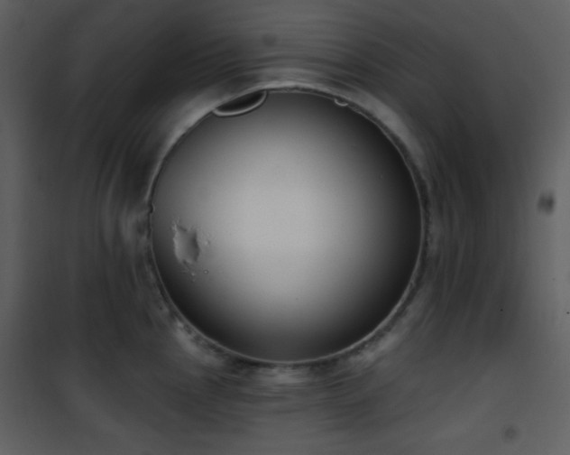 X0000102001145200807181159