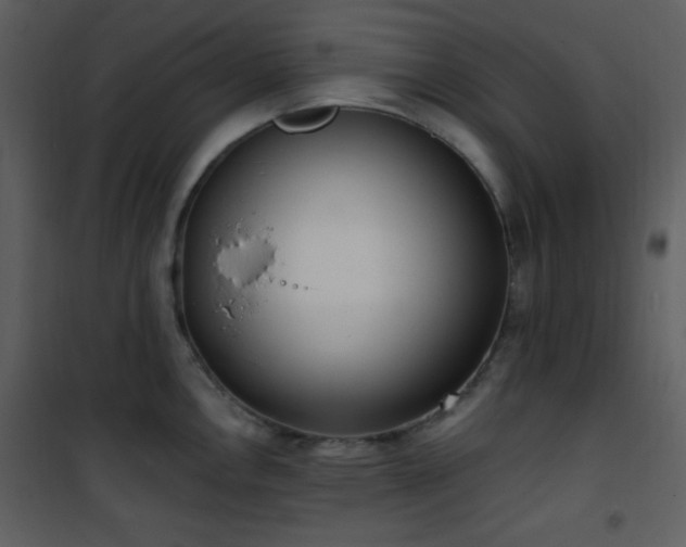 X0000102001146200807181159