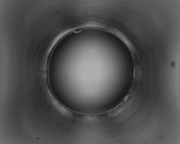 X0000102001148200807181159