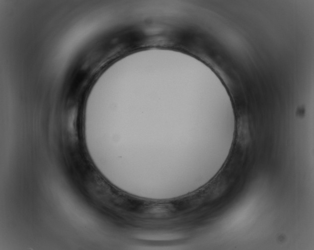 X0000102001150200807181159