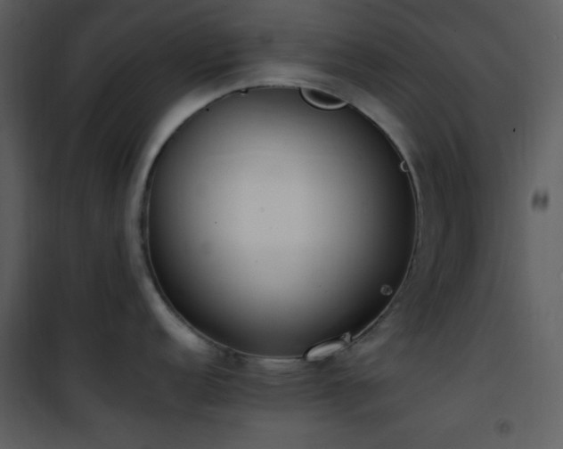 X0000102001152200807181159