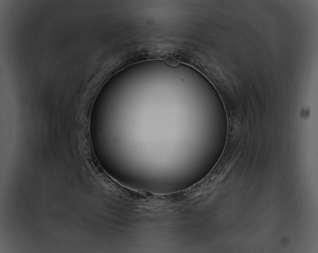 X0000102001153200807181158