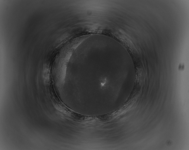 X0000102001154200807181158