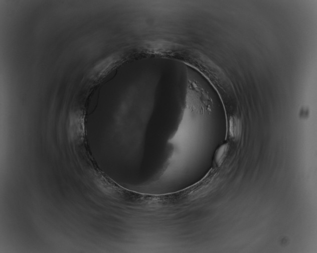 X0000102001155200807181158