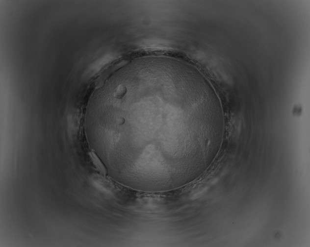 X0000102001157200807181158