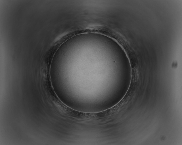 X0000102001158200807181158