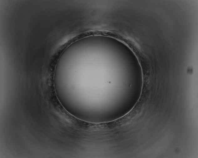 X0000102001159200807181158