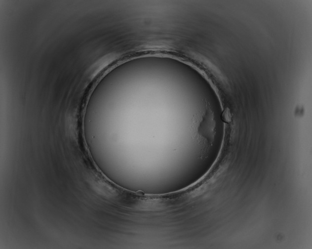 X0000102001162200807181158