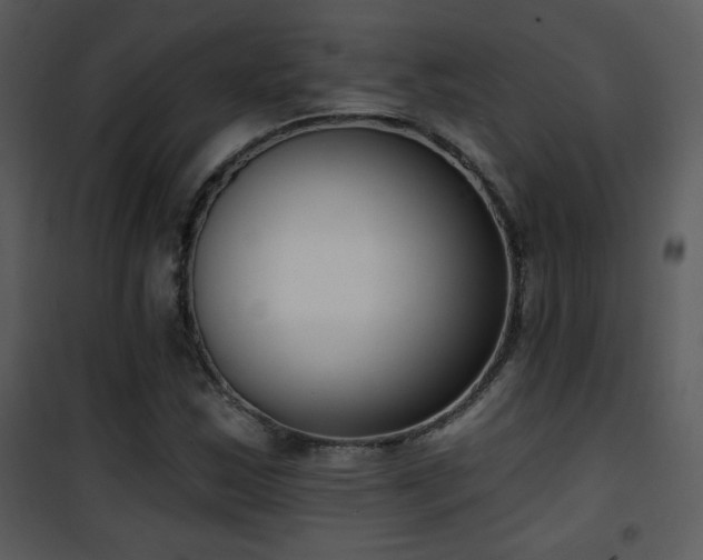 X0000102001163200807181158