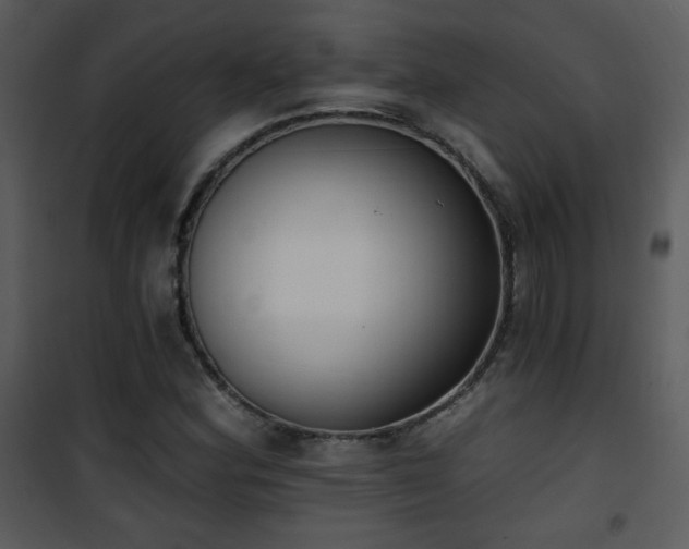 X0000102001164200807181158