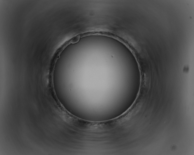 X0000102001165200807181158