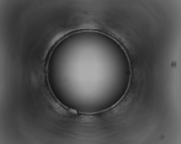 X0000102001168200807181158