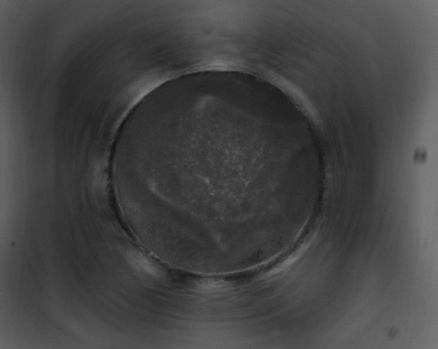 X0000102001170200807181158