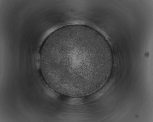 X0000102001171200807181158