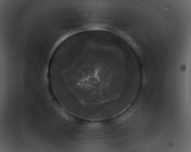 X0000102001174200807181158