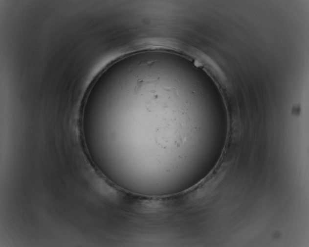 X0000102001182200807181157