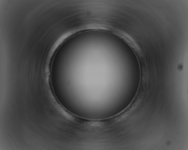 X0000102001188200807181157