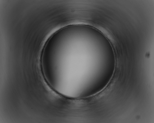 X0000102001189200807181157