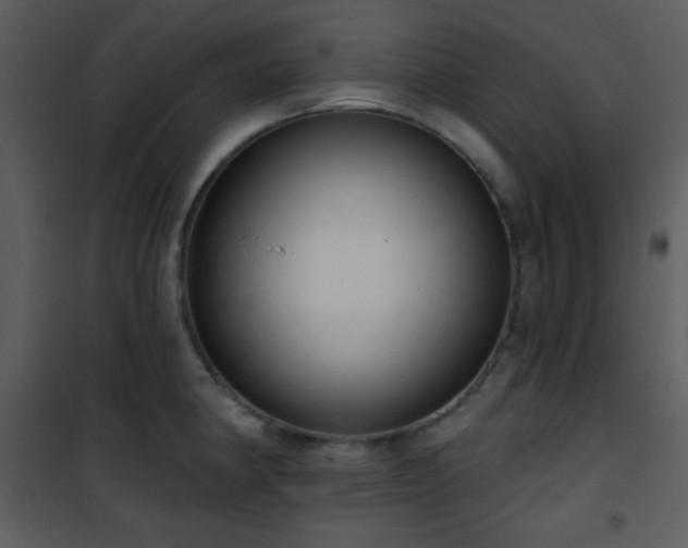 X0000102001190200807181157