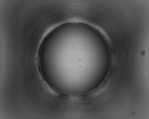 X0000102001191200807181157