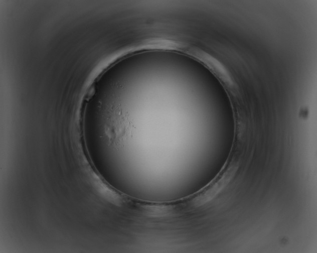 X0000102001192200807181157