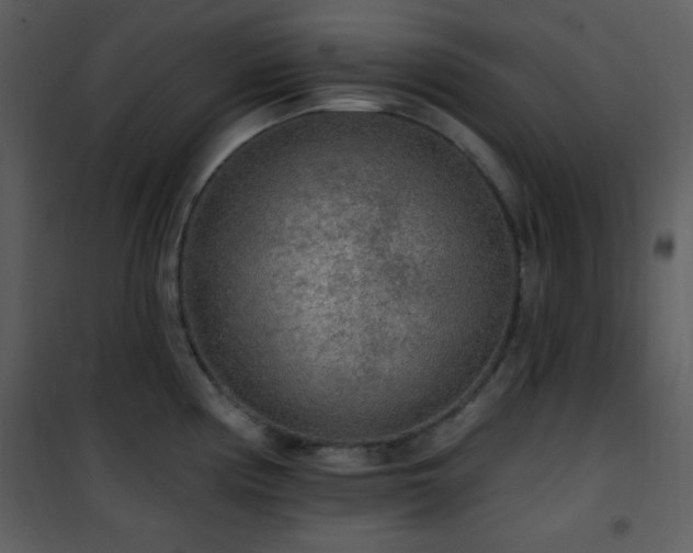 X0000102001194200807181157