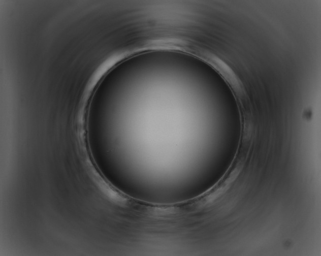 X0000102001196200807181157