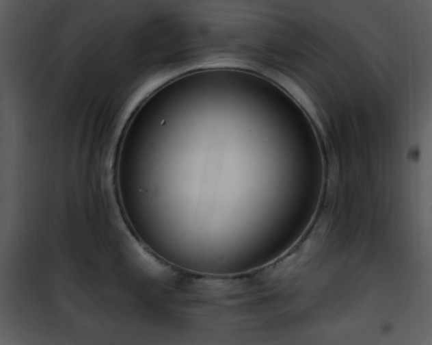 X0000102001197200807181157