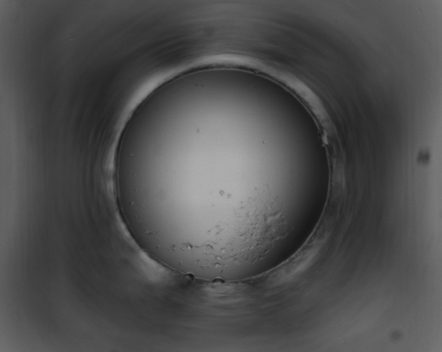 X0000102001199200807181157