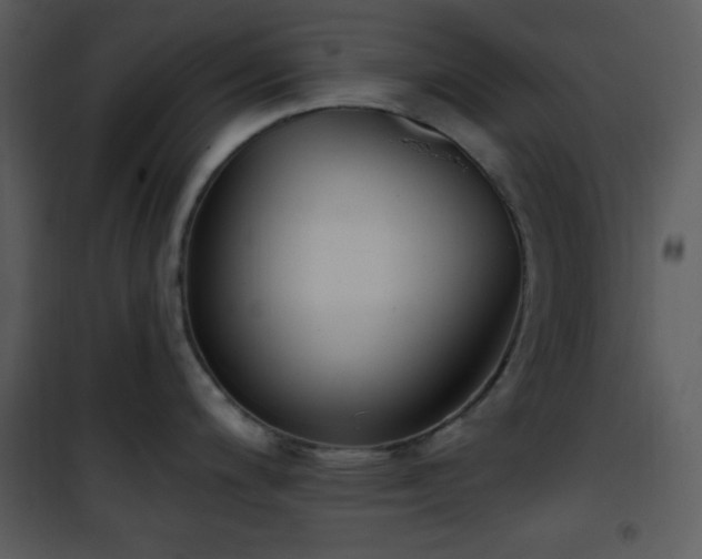 X0000102001200200807181157