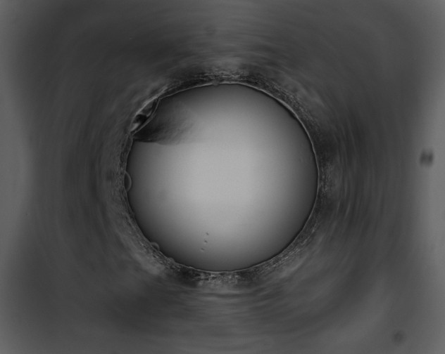 X0000102001201200807181156