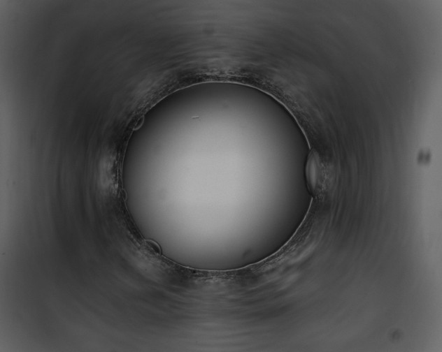 X0000102001202200807181156