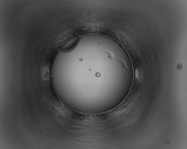 X0000102001203200807181156