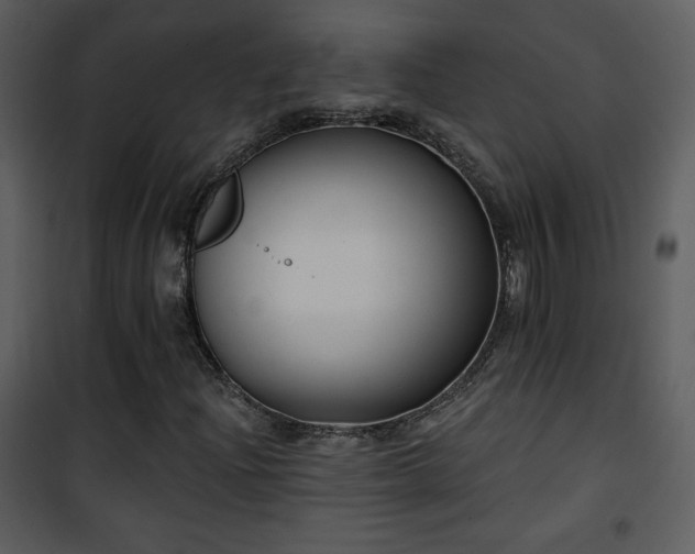 X0000102001204200807181156