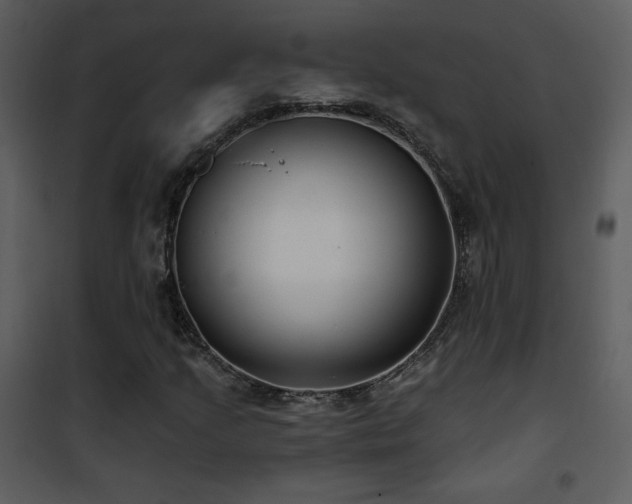 X0000102001205200807181156