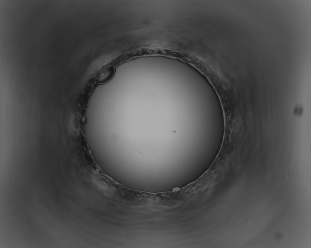 X0000102001207200807181157