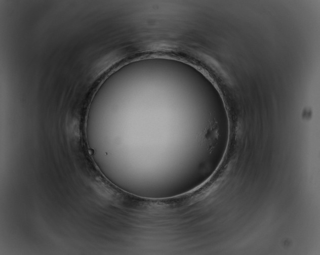 X0000102001209200807181157