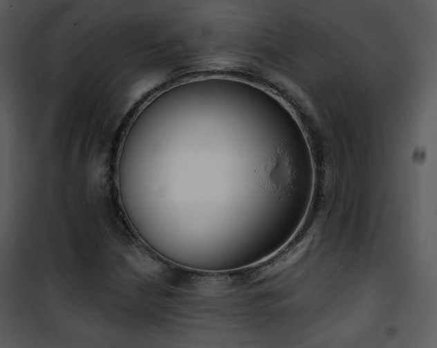 X0000102001210200807181157