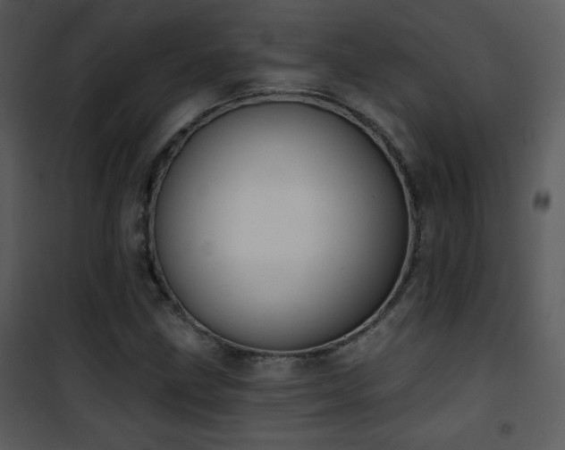 X0000102001211200807181157