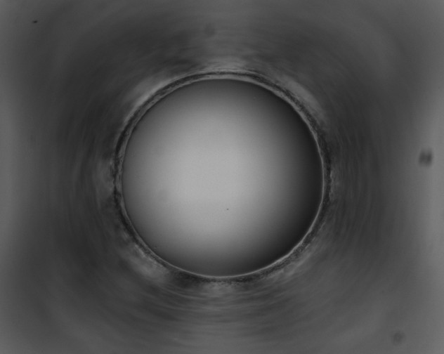 X0000102001212200807181157