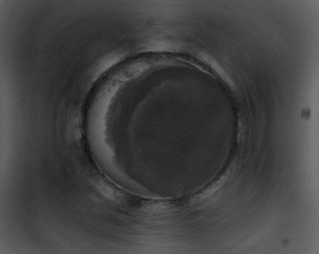 X0000102001213200807181157