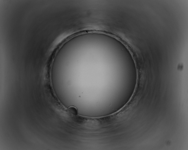 X0000102001215200807181157