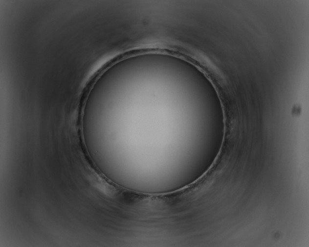 X0000102001216200807181157