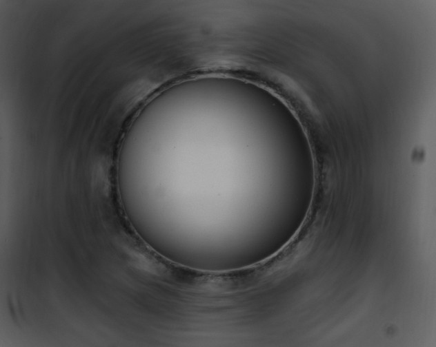 X0000102001217200807181157