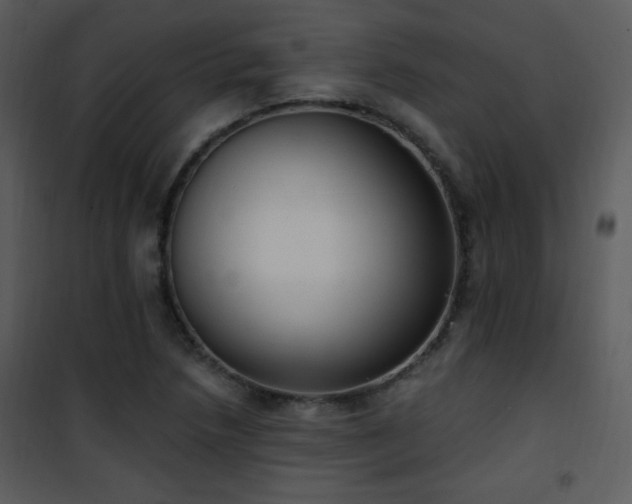 X0000102001218200807181157