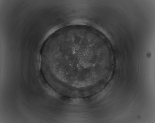 X0000102001219200807181157