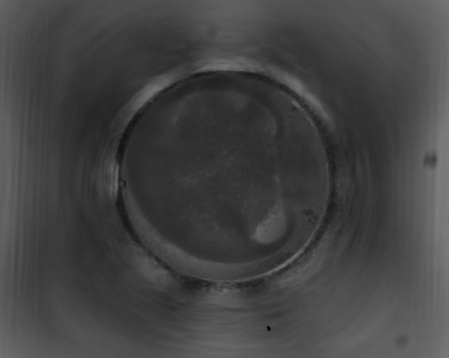 X0000102001221200807181157