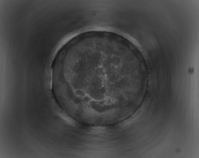 X0000102001223200807181157