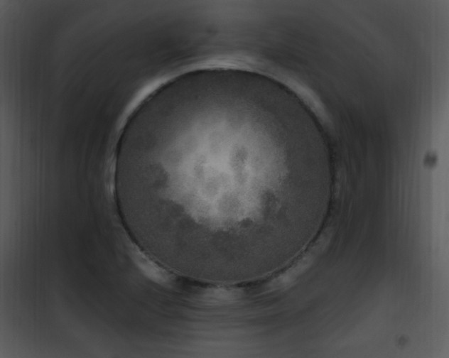 X0000102001224200807181157